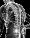 BACK AND JOINT STIFFNESS: NATURAL WAYS TO RESTORE MOBILITY BACK AND JOINT STIFFNESS: NATURAL WAYS TO RESTORE MOBILITY52