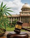 Bhang not ganja: Jharkhand HC sets aside 7-year jail term in landmark NDPS case Bhang not ganja: Jharkhand HC sets aside 7-year jail term in landmark NDPS case64
