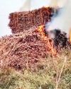 कर्नाटक: हिस्सा पर उतरे गन्ना किसान, फैक्ट्री में 100 ट्रैक्टरों को लगाई आग कर्नाटक: हिस्सा पर उतरे गन्ना किसान, फैक्ट्री में 100 ट्रैक्टरों को लगाई आग35