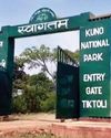 कूनो नेशनल पार्क में वीरा के शावक की मौत कूनो नेशनल पार्क में वीरा के शावक की मौत30