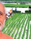 कृषि के क्षेत्र में भारत ने गढ़ा कामयाबी का नया मुकाम कृषि के क्षेत्र में भारत ने गढ़ा कामयाबी का नया मुकाम29