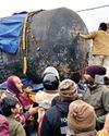 दुनिया का सबसे बड़ा शिवलिंग बिहार पहुंचा29
