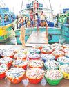 अमेरिकी टैरिफ के बावजूद भारत के समुद्री खाद्य निर्यात में रिकॉर्ड बढ़ोतरी : केंद्र34
