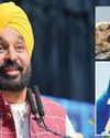 गंभीर संकट से पूर्ण इलाज की ओर कदम : सरकार ने पंजाब में रेबीज के खतरे से निपटने के लिए किए व्यापक सुधार24
