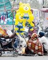 यूपी में ठंड से 2 मरे, हरियाणा में तापमान 0.6 डिग्री4