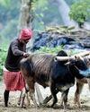 कृषि उपज के लिए बाजार को खोलना यानी बवंडर को निमंत्रण15