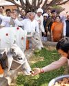 मुख्यमंत्री नायब सैनी ने प्रदेश की 602 पंजीकृत गौशालाओं के लिए 68.34 करोड़ रुपए की अनुदान राशि की जारी मुख्यमंत्री नायब सैनी ने प्रदेश की 602 पंजीकृत गौशालाओं के लिए 68.34 करोड़ रुपए की अनुदान राशि की जारी8