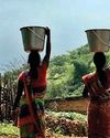 जनजातियों के विकास के लिए योजनाओं का क्रियान्वयन जरूरी19