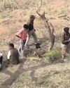 झंडूता में कुल्लू के भेड़पालक का तेजधार हथियार से मर्डर झंडूता में कुल्लू के भेड़पालक का तेजधार हथियार से मर्डर16