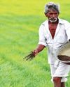 पीएम-किसान योजना के तहत किसानों को जारी राशि 4.27 लाख करोड़ रुपए के पार पीएम-किसान योजना के तहत किसानों को जारी राशि 4.27 लाख करोड़ रुपए के पार37