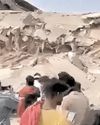 प्रयागराज में पूर्व मंत्री का कोल्ड स्टोरेज ढहा, 4 की मौत24