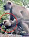 कभी जमीन पर रखती तो कभी गले लगाती, करंट से मरा बच्चा कभी जमीन पर रखती तो कभी गले लगाती, करंट से मरा बच्चा29