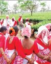 डिब्रूगढ़ के चाय बागान पहुंचे प्रधानमंत्री, मजदूरों से की बात, साथ तोड़ी चाय की पत्तियां32