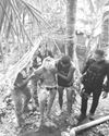 Miatake sa polis napusilan sa Talisay0