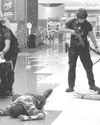 Banat News