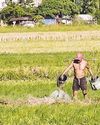 Pinoy startup uses Al to prevent crop damage17