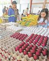 PHL wholesale price growth accelerates to 4%4