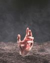 The UN, WTO, NATO, ICC, and NPT have become zombies The UN, WTO, NATO, ICC, and NPT have become zombies15