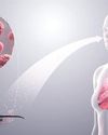 A contained hantavirus outbreak, and lessons for the world A contained hantavirus outbreak, and lessons for the world24