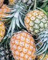 Philippine pineapple shipments start arriving in UAE13