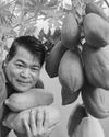 PAGTATANIM AT PAGPAPA- BUNGA NG PAPAYA21