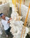 Garcia open to reassessing mushroom program Garcia open to reassessing mushroom program