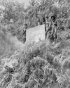Close to P15M worth of shabu, weeds seized Close to P15M worth of shabu, weeds seized