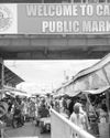 Vendors hope Carbon Market reverts to institutional status