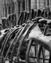 MEDICAL Developments14