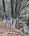 A fractured family in A24 horror film 'Bring Her Back'8