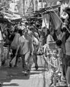 President Marcos faces strongest disapproval13