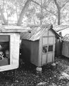 Payag-payag sa kalag: Where the dead live among the living The Freeman