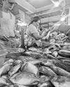 Fish ports across Philippines set for modernization20