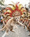 Purr-ade of Faith and Feathers: Calcifer's First Sinulog Experience10
