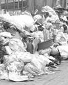 Mayor to meet with brgy. captains to plan trash strategies4