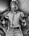 Chuck Norris, the roundhouse-kicking action star17