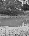 80% CHANCE OF EL NINO DEVELOPING JUNE-AUGUST 80% CHANCE OF EL NINO DEVELOPING JUNE-AUGUST20
