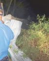 Visayas floods, landslides: 180,788 families affected17