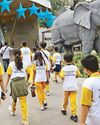 Mali died of congestive heart failure - zoo