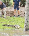 Airport submerged, crocs seen as floods hit Queensland Airport submerged, crocs seen as floods hit Queensland5
