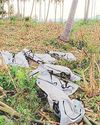 7 relatives killed, buried in shallow pit13