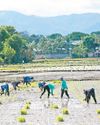Agri, infra damage breaches P100 M18