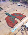 Phl sets new Guinness record for largest human lung formation’ Phl sets new Guinness record for largest human lung formation’2