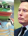 Musk flummoxes internet with 'Kekius Maximus' persona