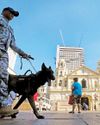 Devotees told: Follow traslacion protocols