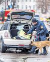 Driver plows into demonstrators in Munich, injuring 30