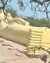 Why Thai Mangoes Are Catching Up To Our Golden Carabao75