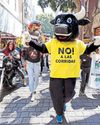 Mexico City bans violent bullfighting36