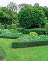 Landscaping and Its Importance in Home Design: Creating Sustainable Spaces for a Greener Future This Earth Hour79