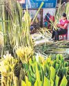 Galunggong price drops before expected Holy Week increase Galunggong price drops before expected Holy Week increase